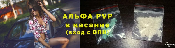 PSILOCYBIN Кодинск