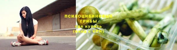 PSILOCYBIN Кодинск