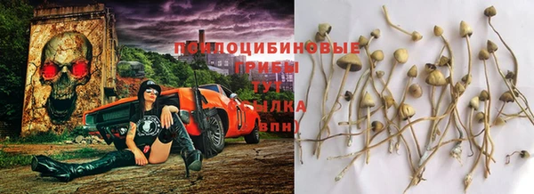 мескалин Козельск