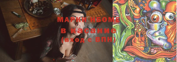 PSILOCYBIN Кодинск