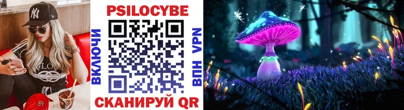 Купить закладки  Боровичи  Галлюциногенные грибы MAGIC MUSHROOMS 