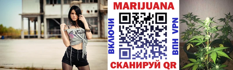 Шишки марихуана VHQ  Купить закладки  Боровичи 